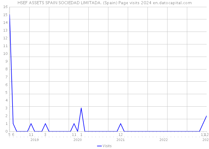 HSEF ASSETS SPAIN SOCIEDAD LIMITADA. (Spain) Page visits 2024 