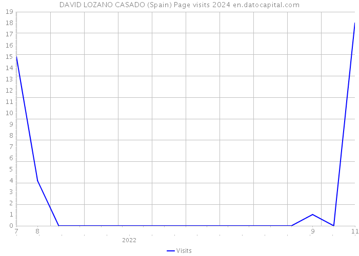 DAVID LOZANO CASADO (Spain) Page visits 2024 