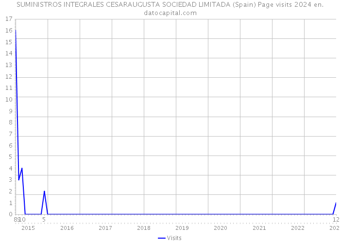 SUMINISTROS INTEGRALES CESARAUGUSTA SOCIEDAD LIMITADA (Spain) Page visits 2024 