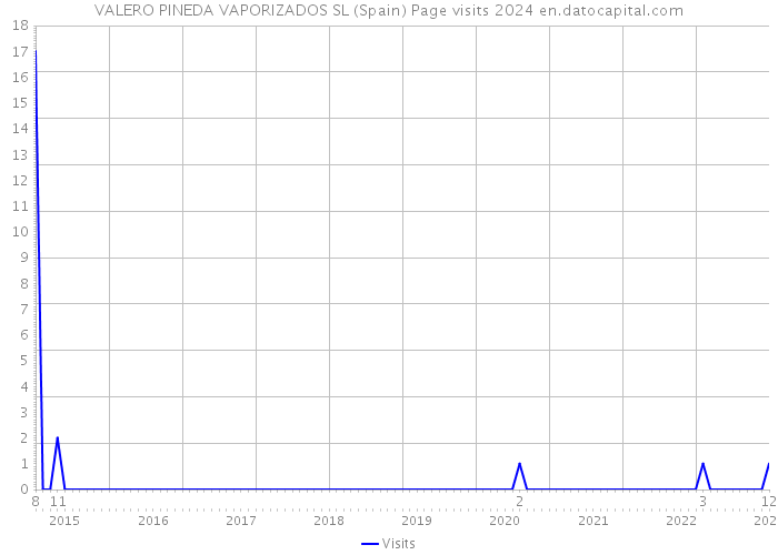 VALERO PINEDA VAPORIZADOS SL (Spain) Page visits 2024 
