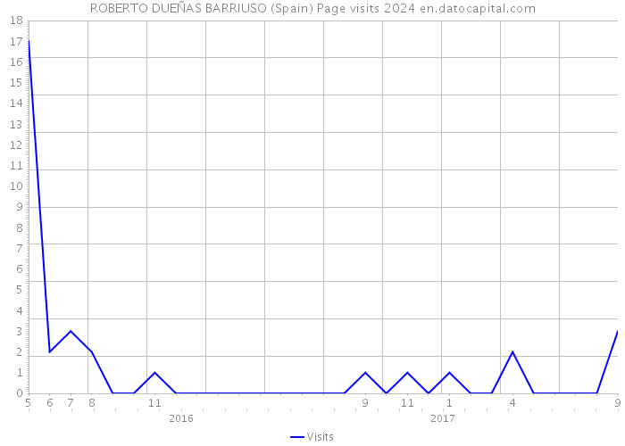 ROBERTO DUEÑAS BARRIUSO (Spain) Page visits 2024 