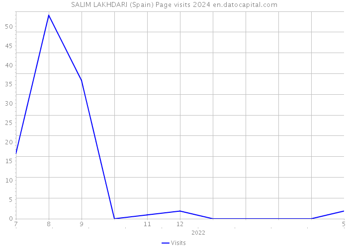 SALIM LAKHDARI (Spain) Page visits 2024 