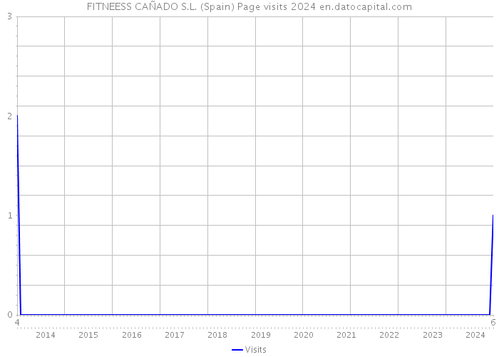 FITNEESS CAÑADO S.L. (Spain) Page visits 2024 