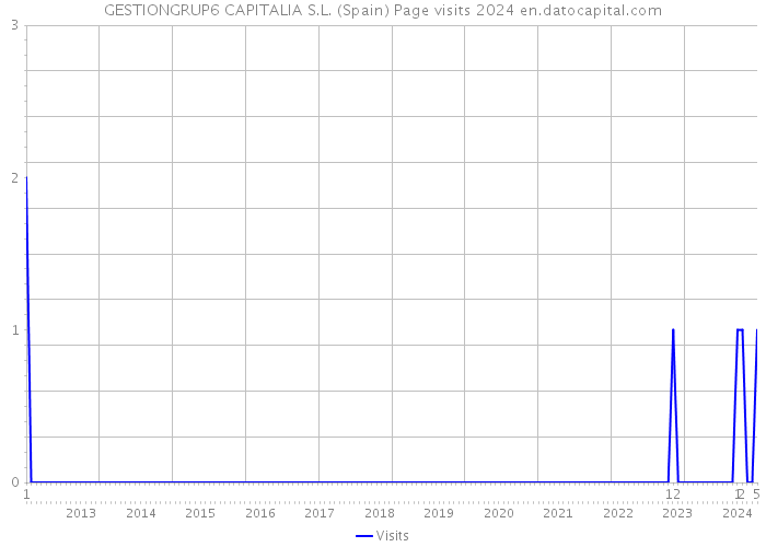 GESTIONGRUP6 CAPITALIA S.L. (Spain) Page visits 2024 