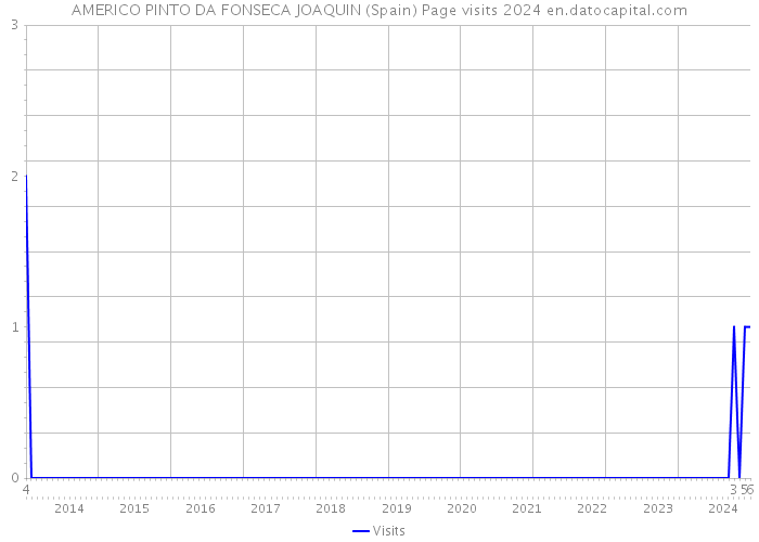 AMERICO PINTO DA FONSECA JOAQUIN (Spain) Page visits 2024 