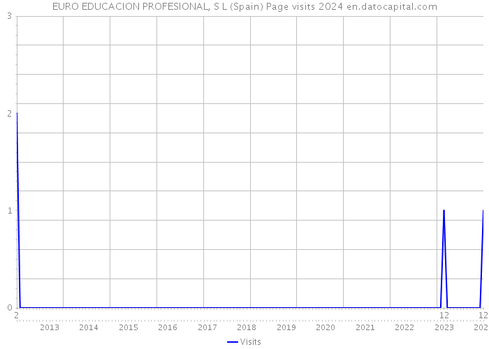 EURO EDUCACION PROFESIONAL, S L (Spain) Page visits 2024 