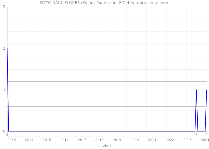 SOTO RAUL FLORES (Spain) Page visits 2024 