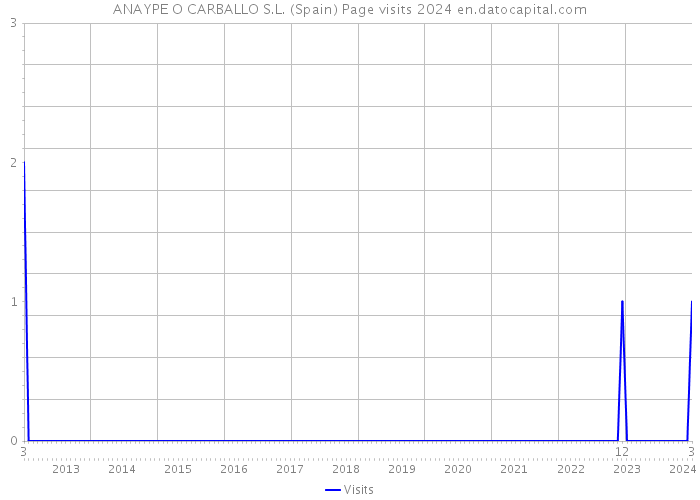 ANAYPE O CARBALLO S.L. (Spain) Page visits 2024 