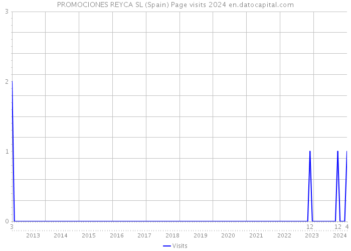 PROMOCIONES REYCA SL (Spain) Page visits 2024 