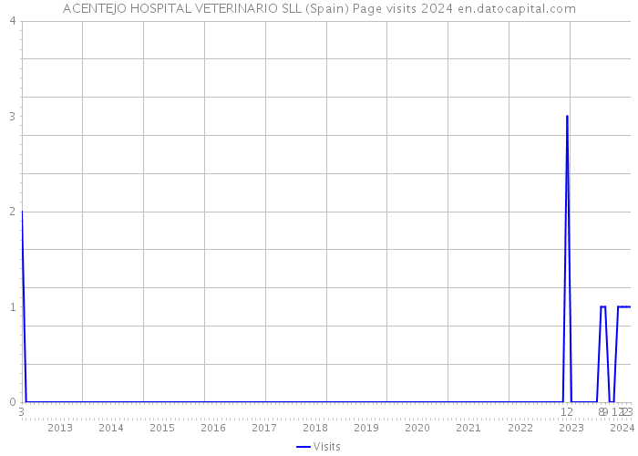 ACENTEJO HOSPITAL VETERINARIO SLL (Spain) Page visits 2024 