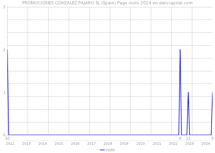 PROMOCIONES GONZALEZ PAJARO SL (Spain) Page visits 2024 