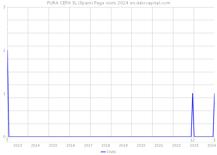 PURA CEPA SL (Spain) Page visits 2024 