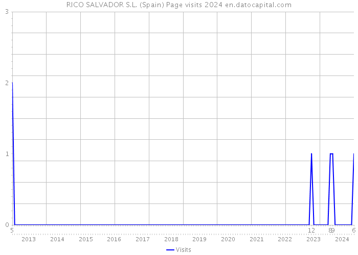 RICO SALVADOR S.L. (Spain) Page visits 2024 