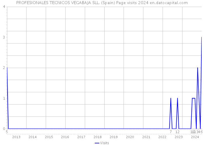 PROFESIONALES TECNICOS VEGABAJA SLL. (Spain) Page visits 2024 