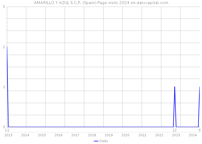 AMARILLO Y AZUL S.C.P. (Spain) Page visits 2024 