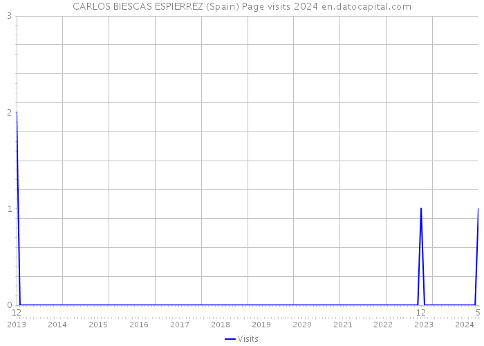CARLOS BIESCAS ESPIERREZ (Spain) Page visits 2024 