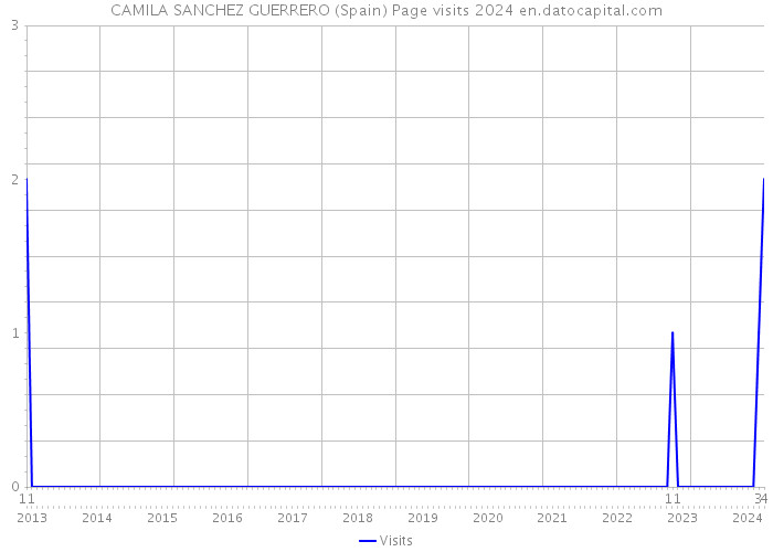 CAMILA SANCHEZ GUERRERO (Spain) Page visits 2024 