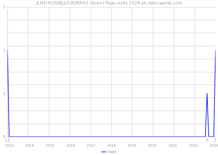 JUAN ROSSELLO BORRAS (Spain) Page visits 2024 