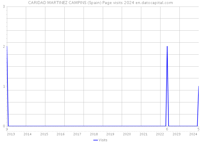 CARIDAD MARTINEZ CAMPINS (Spain) Page visits 2024 