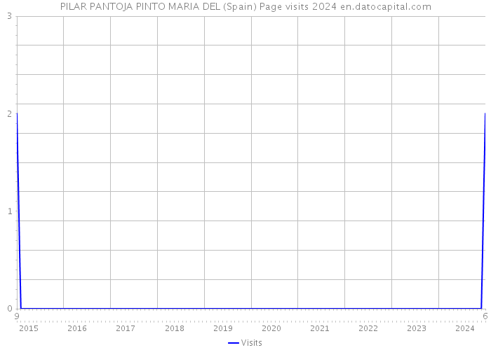 PILAR PANTOJA PINTO MARIA DEL (Spain) Page visits 2024 