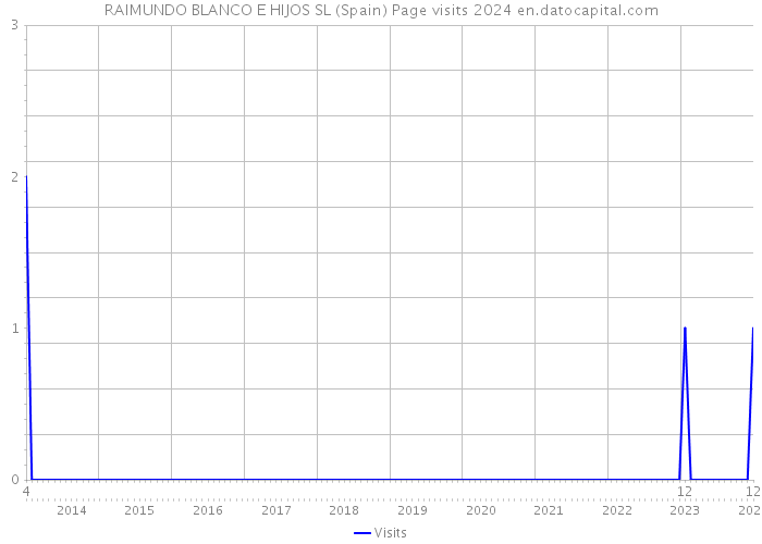 RAIMUNDO BLANCO E HIJOS SL (Spain) Page visits 2024 