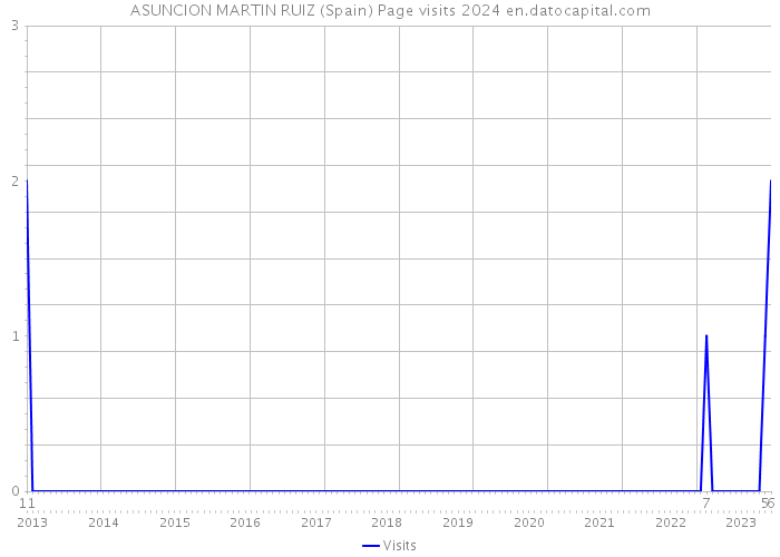 ASUNCION MARTIN RUIZ (Spain) Page visits 2024 