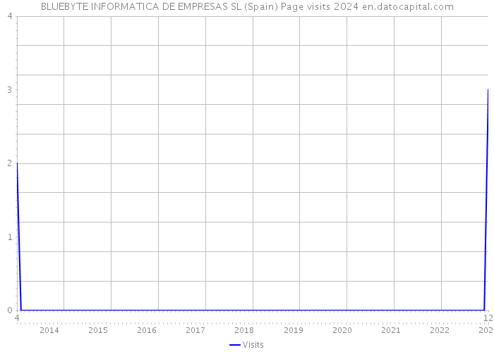 BLUEBYTE INFORMATICA DE EMPRESAS SL (Spain) Page visits 2024 