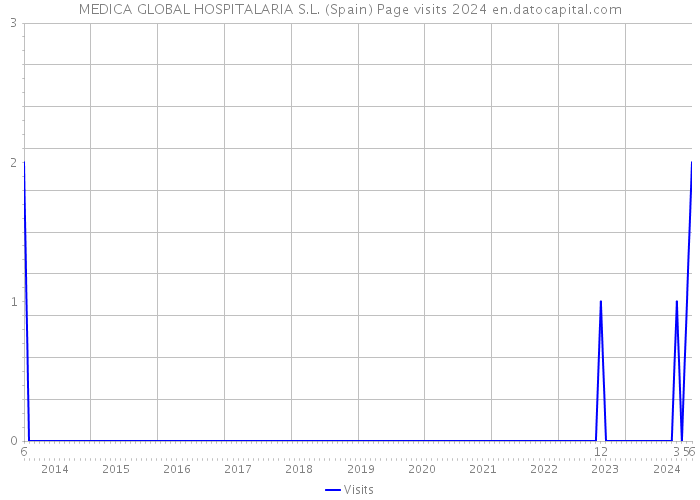 MEDICA GLOBAL HOSPITALARIA S.L. (Spain) Page visits 2024 
