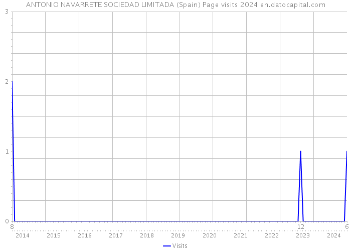 ANTONIO NAVARRETE SOCIEDAD LIMITADA (Spain) Page visits 2024 