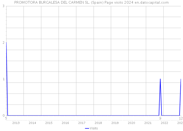 PROMOTORA BURGALESA DEL CARMEN SL. (Spain) Page visits 2024 