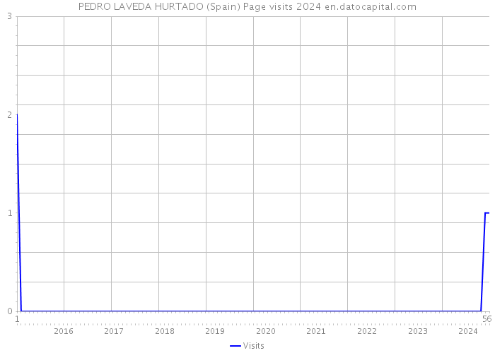 PEDRO LAVEDA HURTADO (Spain) Page visits 2024 