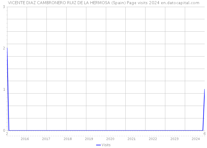 VICENTE DIAZ CAMBRONERO RUIZ DE LA HERMOSA (Spain) Page visits 2024 