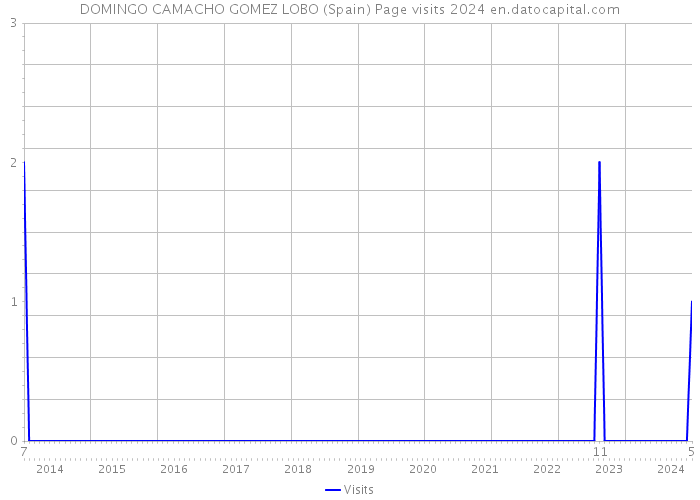 DOMINGO CAMACHO GOMEZ LOBO (Spain) Page visits 2024 
