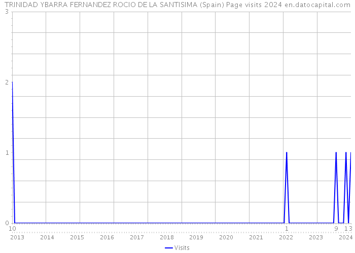 TRINIDAD YBARRA FERNANDEZ ROCIO DE LA SANTISIMA (Spain) Page visits 2024 