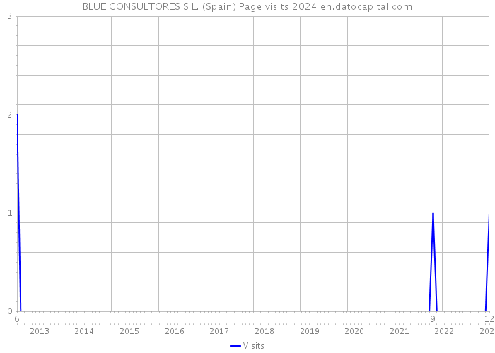 BLUE CONSULTORES S.L. (Spain) Page visits 2024 