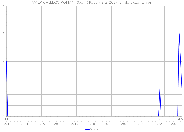 JAVIER GALLEGO ROMAN (Spain) Page visits 2024 