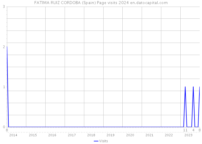 FATIMA RUIZ CORDOBA (Spain) Page visits 2024 