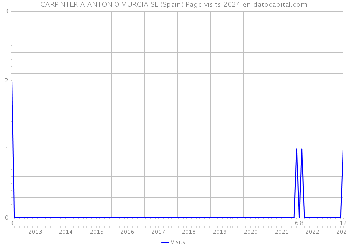 CARPINTERIA ANTONIO MURCIA SL (Spain) Page visits 2024 