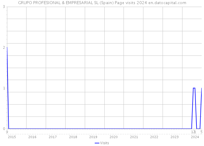 GRUPO PROFESIONAL & EMPRESARIAL SL (Spain) Page visits 2024 