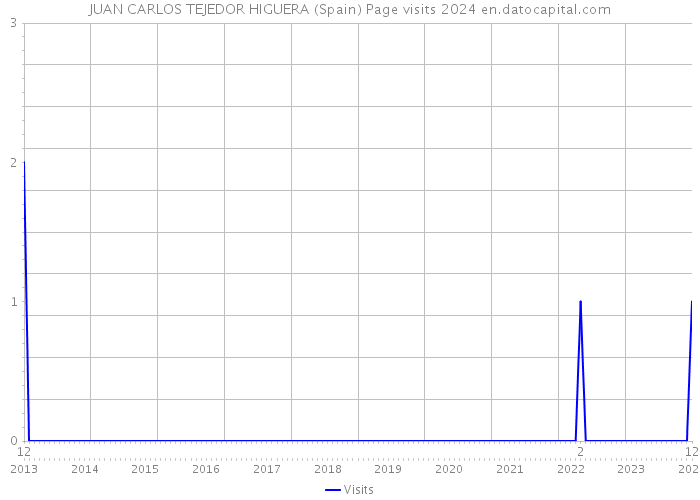 JUAN CARLOS TEJEDOR HIGUERA (Spain) Page visits 2024 