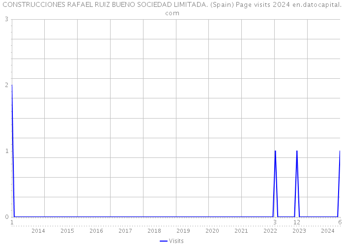 CONSTRUCCIONES RAFAEL RUIZ BUENO SOCIEDAD LIMITADA. (Spain) Page visits 2024 