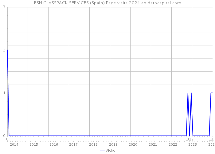 BSN GLASSPACK SERVICES (Spain) Page visits 2024 