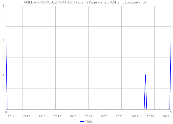 AMELIA RODRIGUEZ GRANADO (Spain) Page visits 2024 