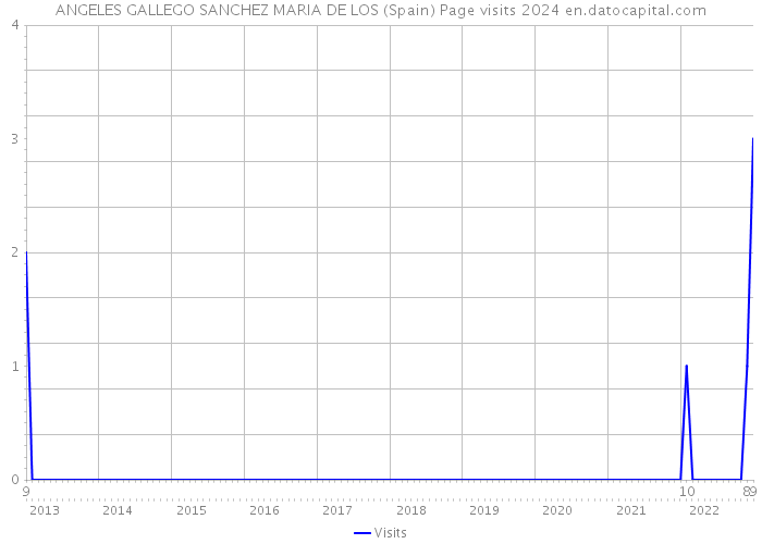 ANGELES GALLEGO SANCHEZ MARIA DE LOS (Spain) Page visits 2024 
