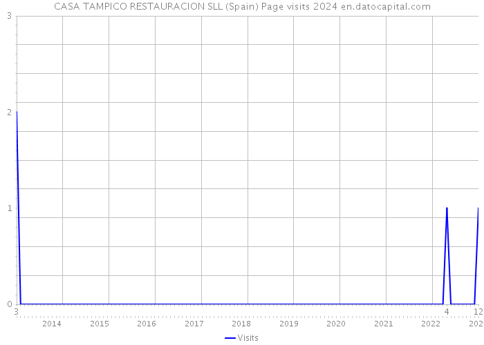 CASA TAMPICO RESTAURACION SLL (Spain) Page visits 2024 