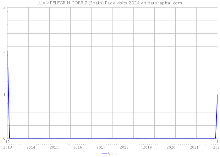 JUAN PELEGRIN GORRIZ (Spain) Page visits 2024 