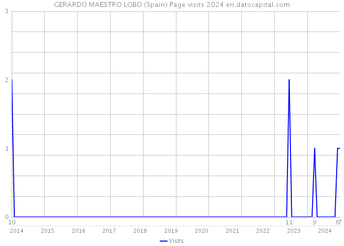 GERARDO MAESTRO LOBO (Spain) Page visits 2024 