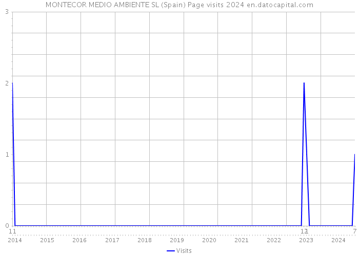 MONTECOR MEDIO AMBIENTE SL (Spain) Page visits 2024 