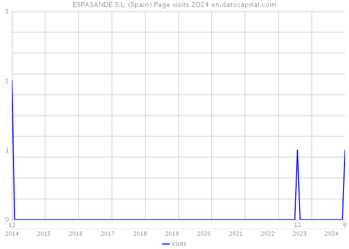 ESPASANDE S.L. (Spain) Page visits 2024 