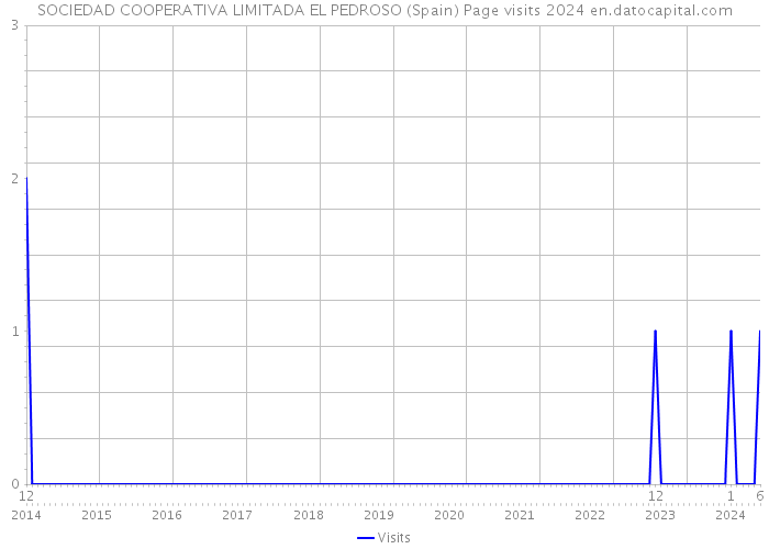SOCIEDAD COOPERATIVA LIMITADA EL PEDROSO (Spain) Page visits 2024 